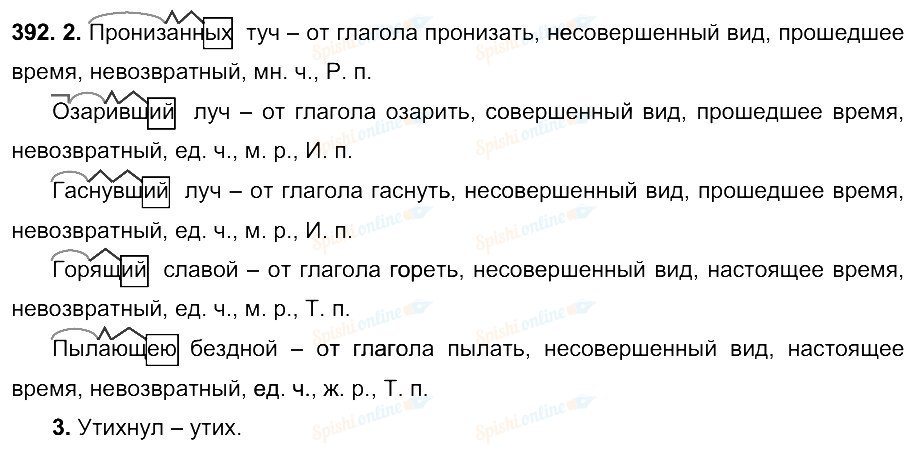 Разумовская 6 класс упражнение. Упражнение 392 по русскому языку 6 класс. Русский язык 6 класс Разумовская упражнение 392. Упражнение 392 по русскому языку 6 класс ладыженская. Гдз русский язык 6 класс Разумовская 2013.